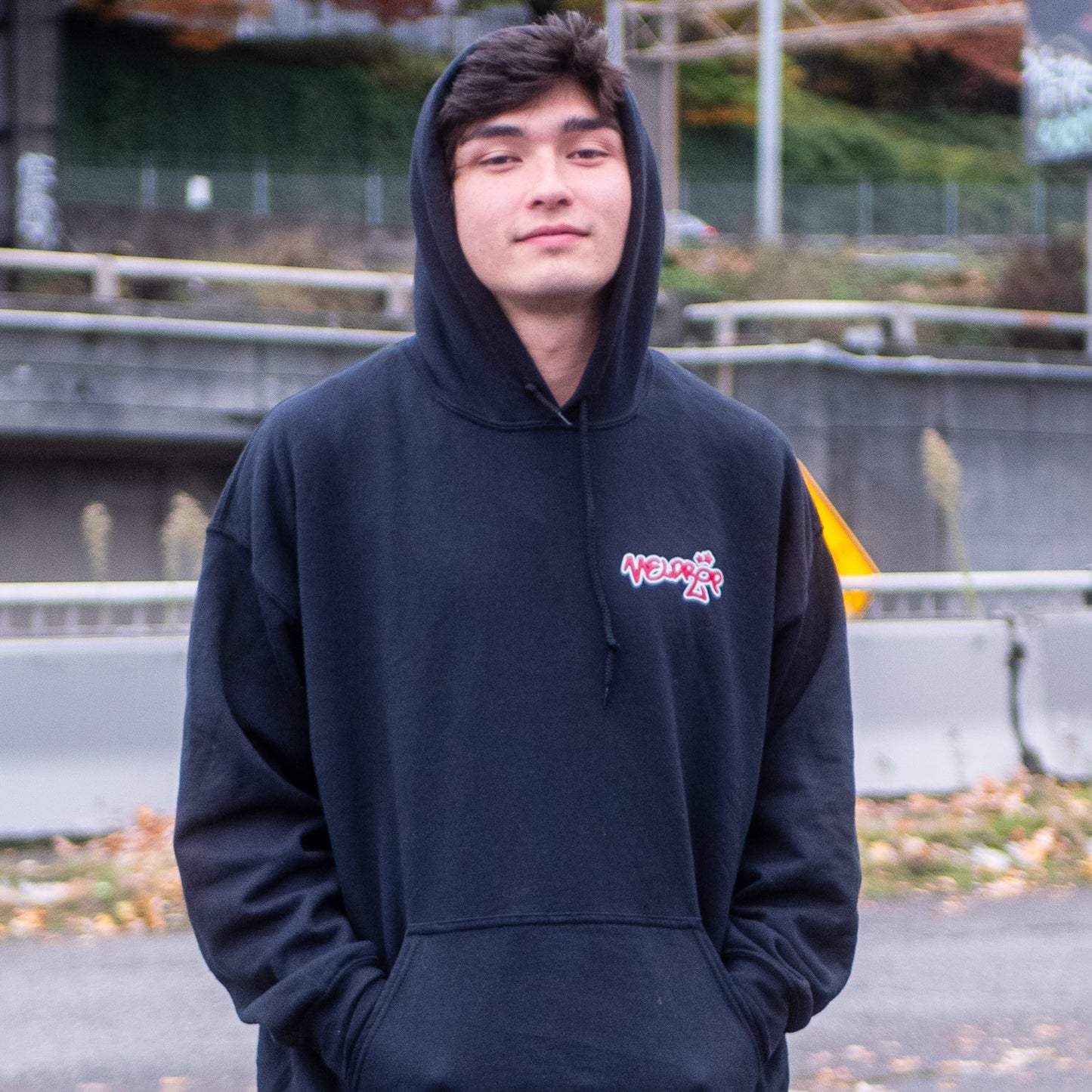 MELODAZE TOUR HOODIE